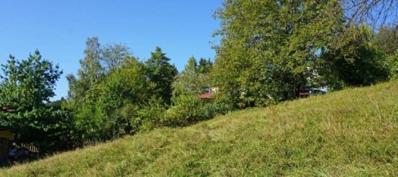  Land in Pressbaum, Austria No. 28305 5