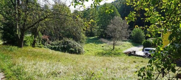  Land in Pressbaum, Austria No. 28305 7