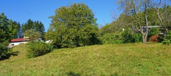 Land in Pressbaum, Austria No. 28305 4
