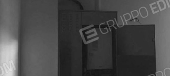 4 rooms Apartment in Terre del Reno, Italy No. 25072 13