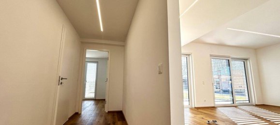 3 rooms Bungalow in Neufeld an der Leitha, Austria No. 66200 9