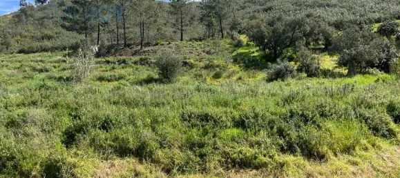  قطعة أرض في Mexilhoeira Grande, Portugal رقم 82001 14