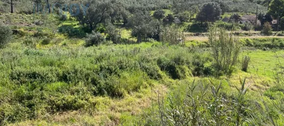  قطعة أرض في Mexilhoeira Grande, Portugal رقم 82001 13