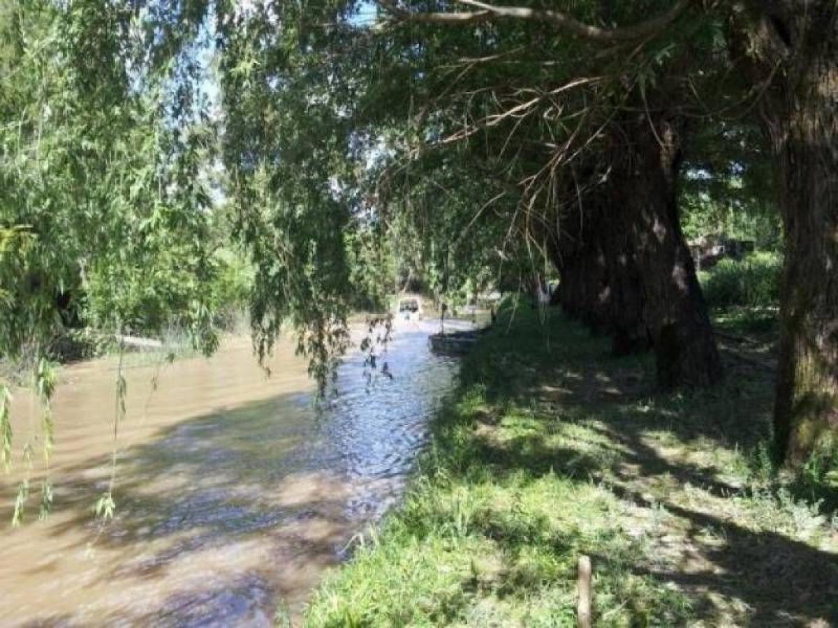  قطعة أرض في Tigre, Argentina رقم 39594