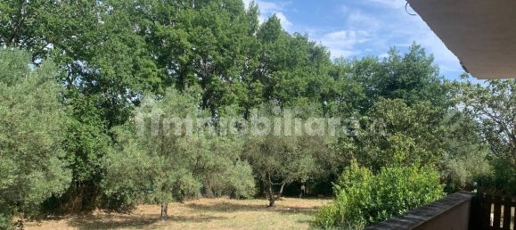 6 chambres Villa à Faleria, Italy No. 341627 4