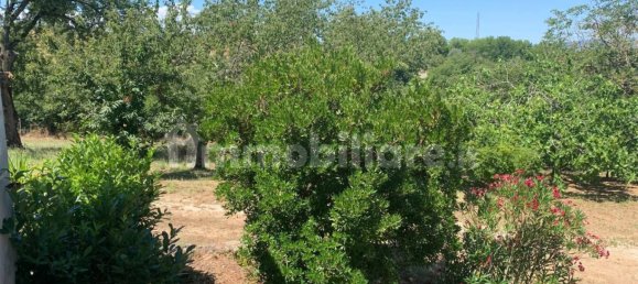 6 chambres Villa à Faleria, Italy No. 341627 11