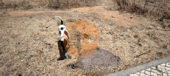 2000m² Land in Vila Nova de Cacela, Portugal No. 145439 28