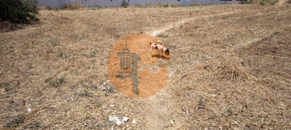 2000m² Land in Vila Nova de Cacela, Portugal No. 145439 15