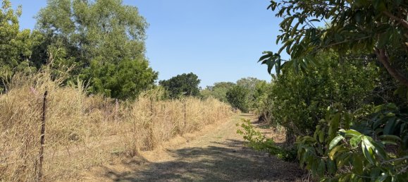 2 bedrooms Farm in Humpty Doo, Australia No. 652 2