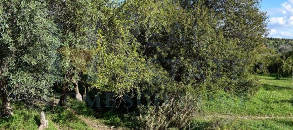 170m² Land in Avola, Italy No. 124269 6