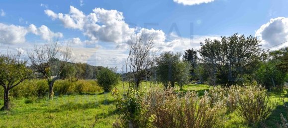 170m² Land in Avola, Italy No. 124269 8