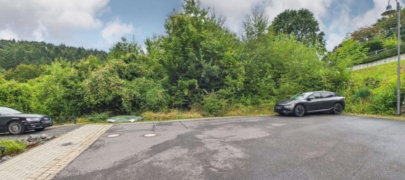  قطعة أرض في Ahrweiler, Germany رقم 370729 2