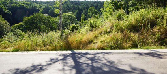  قطعة أرض في Ahrweiler, Germany رقم 370729 6