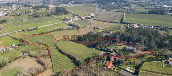 8 Schlafzimmer Haus in Rendufe, Portugal, Nr. 163914 44