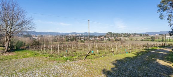 8 Schlafzimmer Haus in Rendufe, Portugal, Nr. 163914 43