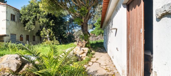 4 chambres Terrain à Cascais, Portugal No. 105116 16