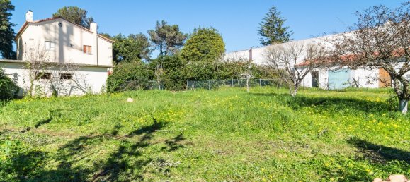 4 chambres Terrain à Cascais, Portugal No. 105116 9