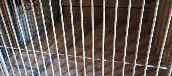 Квартира с 4 комнатами в Казацца, Италия № 274277 20