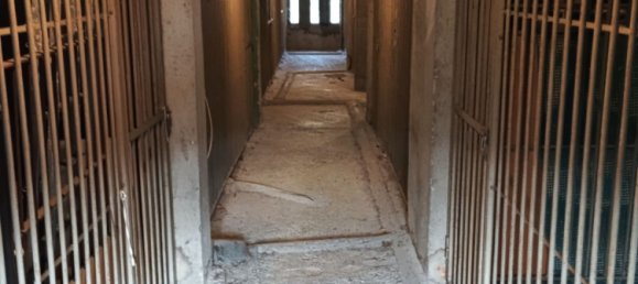 Квартира с 4 комнатами в Казацца, Италия № 274277 18