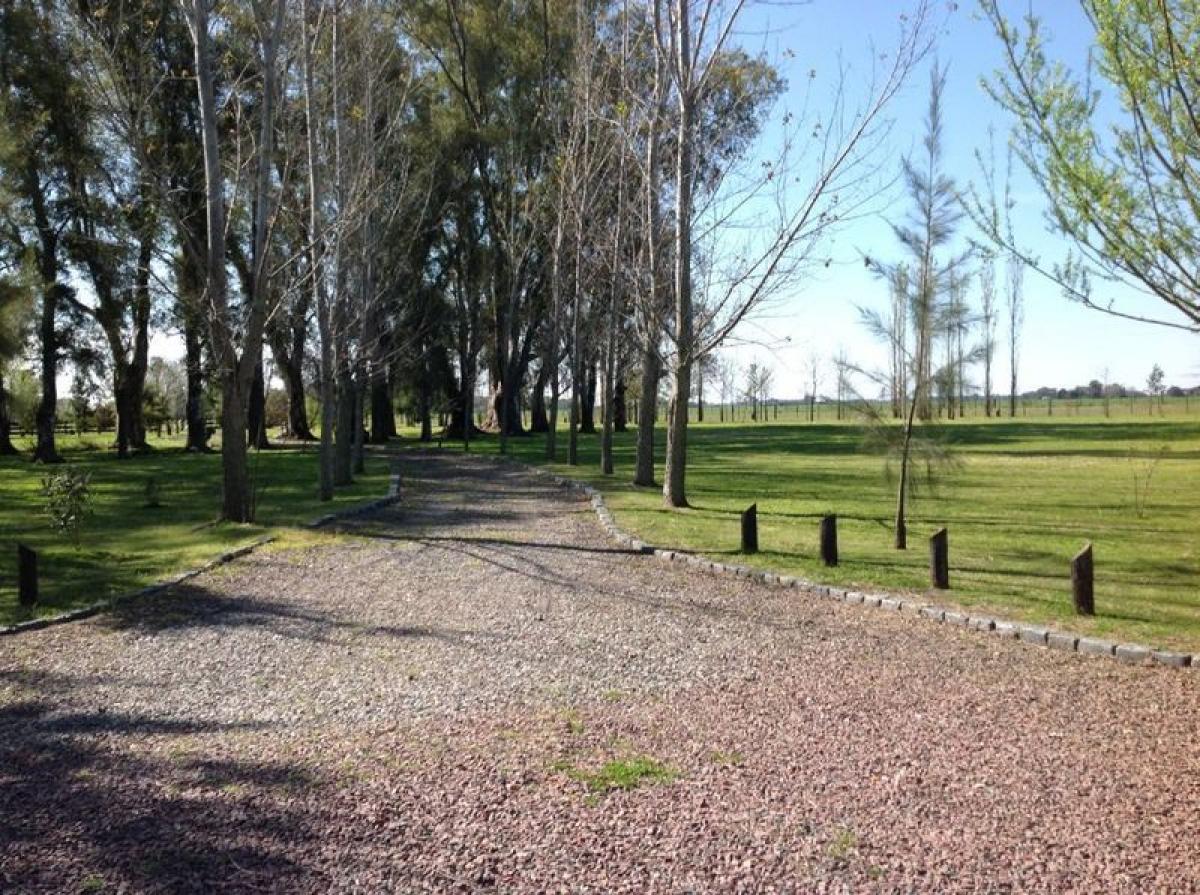 Terreno em Buenos Aires, Argentina N.º 115732