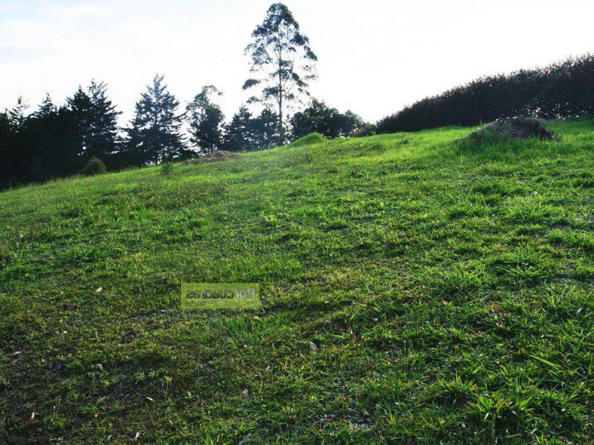  قطعة أرض في Antioquia, Colombia رقم 302