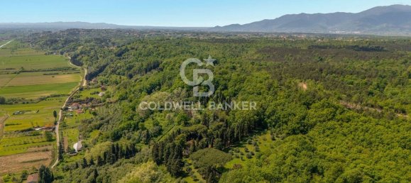 15 rooms Villa in Castelfranco di Sotto, Italy No. 63575 5