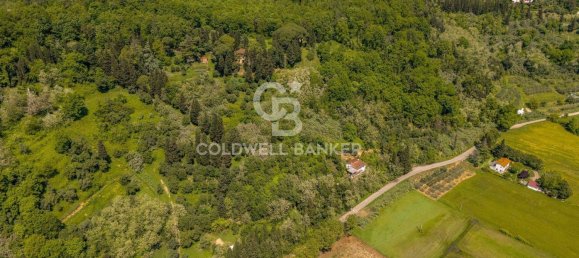 15 rooms Villa in Castelfranco di Sotto, Italy No. 63575 9