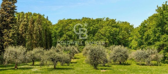 15 rooms Villa in Castelfranco di Sotto, Italy No. 63575 36