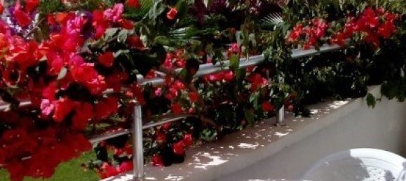 2-Zimmer Wohnung in Mahmutlar, Turkey, Nr. 30236 6