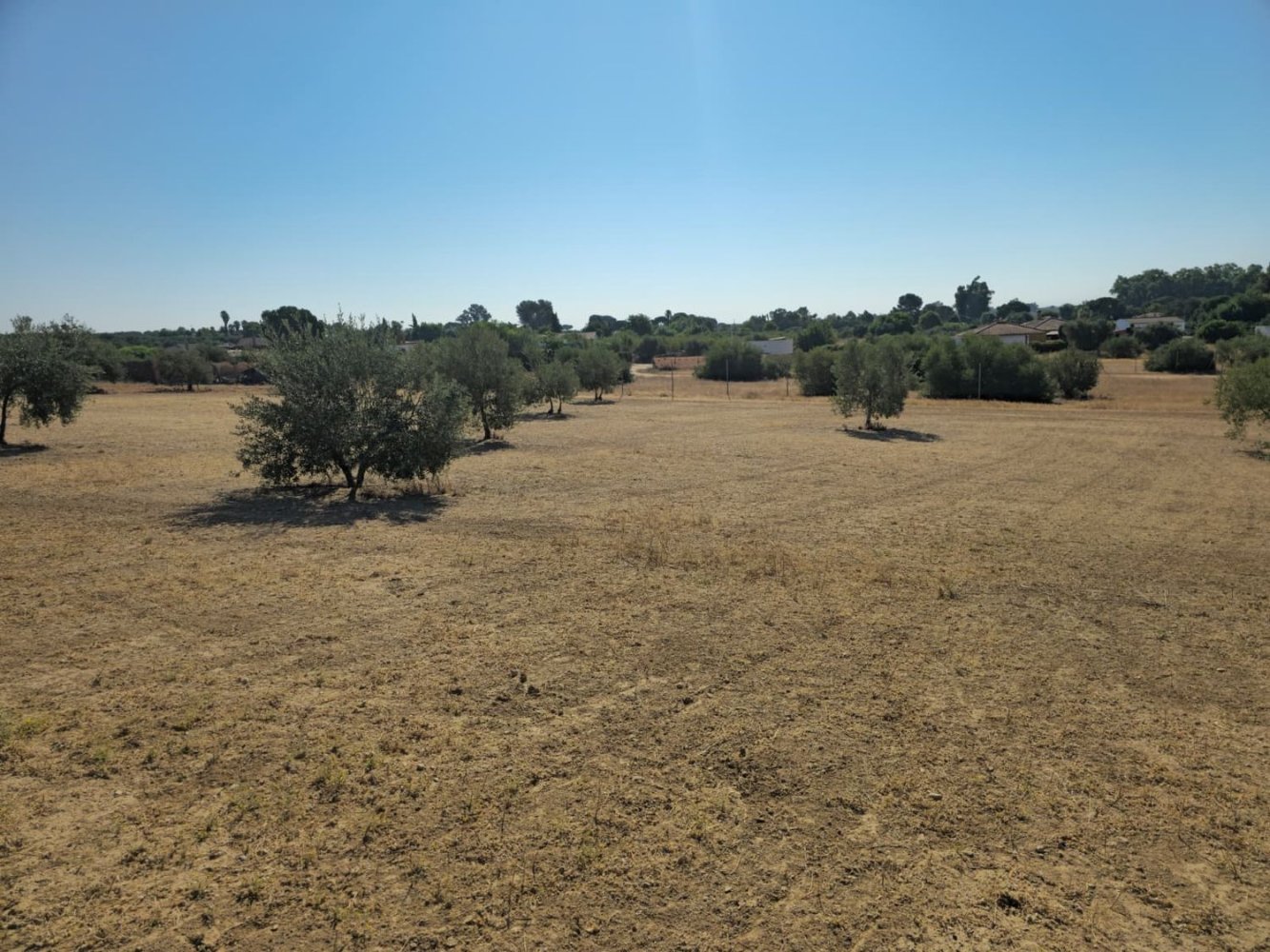  Land in Andalusia, Spain No. 254172