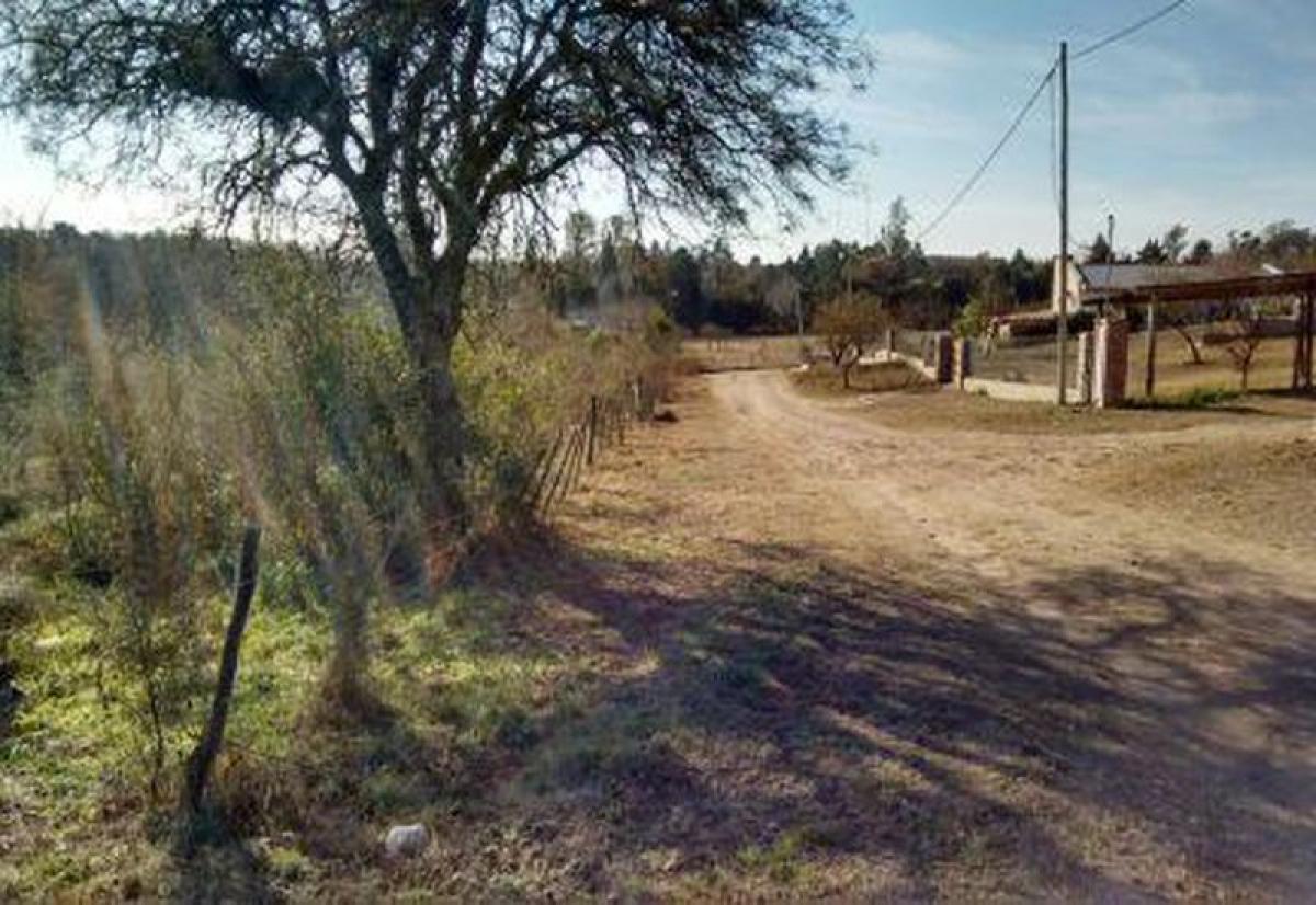  Land in Cordoba, Argentina No. 43201
