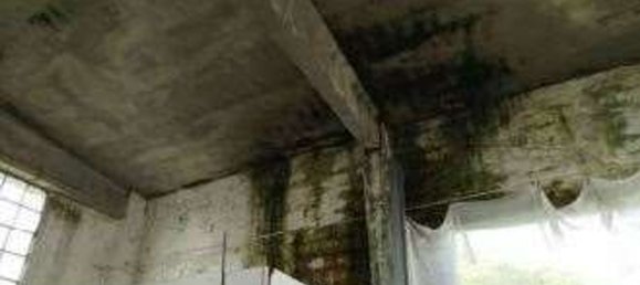 127m² Commercial property in Torrevecchia Pia, Italy No. 10864 9