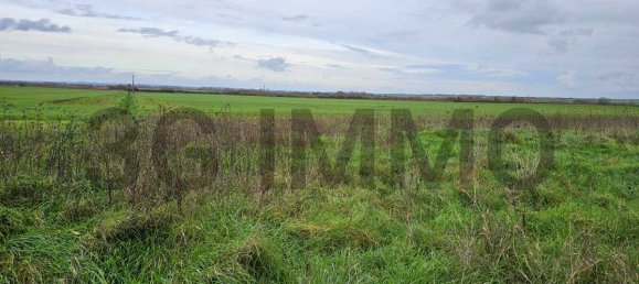 Земельный участок в Шерв, Франция № 202450 4