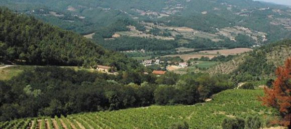 Villa de 14 dormitorios en Vicchio, Italy No. 324166 33