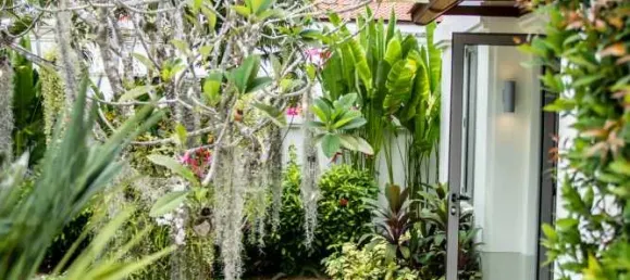 4 Schlafzimmer Haus in Bang Tao, Thailand, Nr. 80057 10