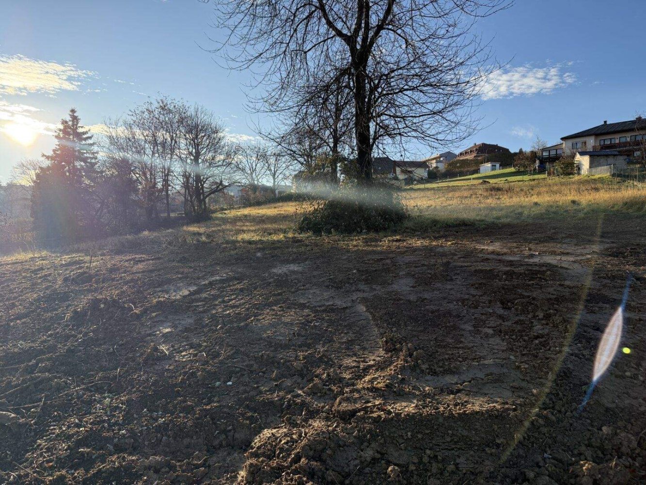 Terrain à Wiesen, Austria No. 120825
