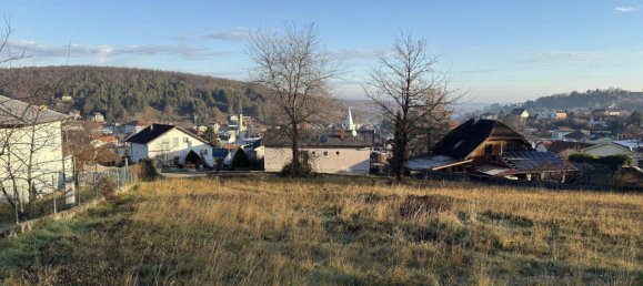 Terrain à Wiesen, Austria No. 120825 2