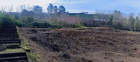 Земельный участок 2636м² в Вила Нова ди Гая, Португалия № 62477 23