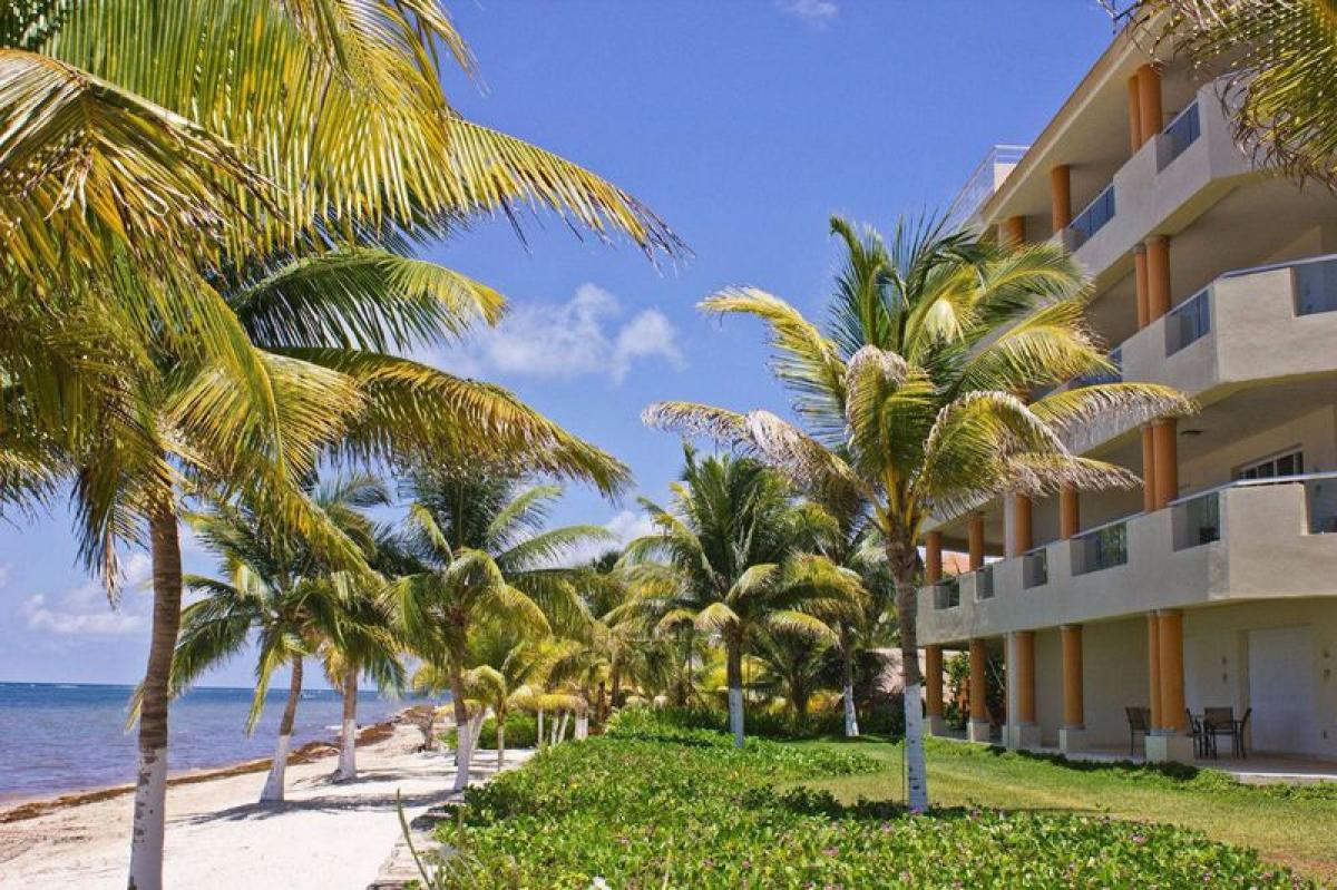 3 غرف نوم شقة في Mexico رقم 171473