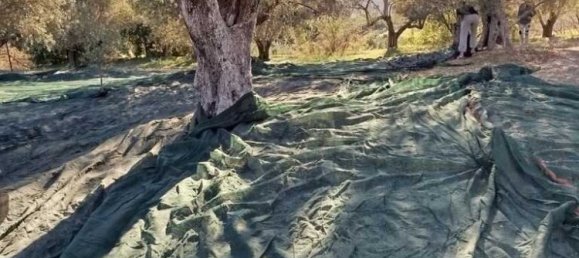 Дом с 1 спальней в Ираклион, Греция № 93386 22