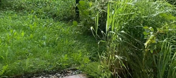 Квартира с 1 спальней в Ремс-Мур, Германия № 292964 9