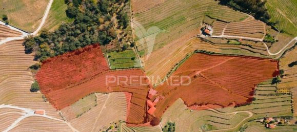 Дом с 10 спальнями в Мезан Фриу, Португалия № 121114 3