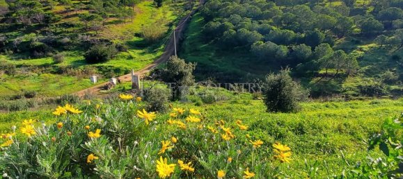 Вилла с 3 спальнями в Тавира, Португалия № 314705 20