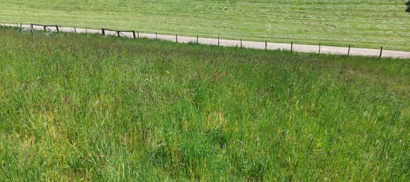 Grundstück in Helpfau-Uttendorf, Austria, Nr. 153696 4