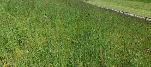 Grundstück in Helpfau-Uttendorf, Austria, Nr. 153696 3