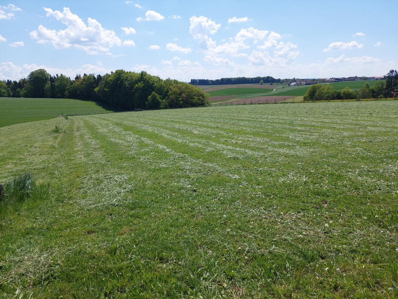 Grundstück in Helpfau-Uttendorf, Austria, Nr. 153696