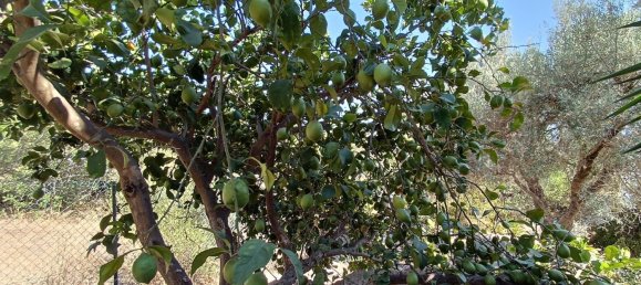 2 bedrooms House in Loule, Portugal No. 141090 16