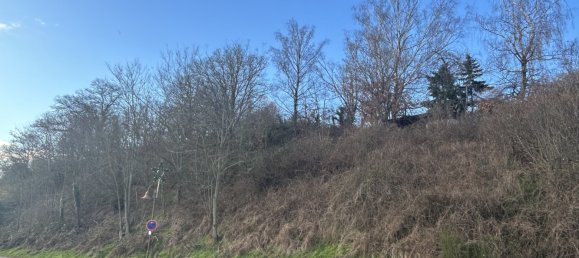  قطعة أرض في Donnersbergkreis, Germany رقم 44467 6