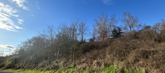  قطعة أرض في Donnersbergkreis, Germany رقم 44467 4