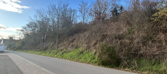  قطعة أرض في Donnersbergkreis, Germany رقم 44467 5